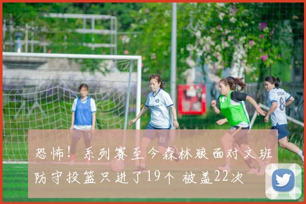 恐怖！系列赛至今森林狼面对文班防守投篮只进了19个 被盖22次